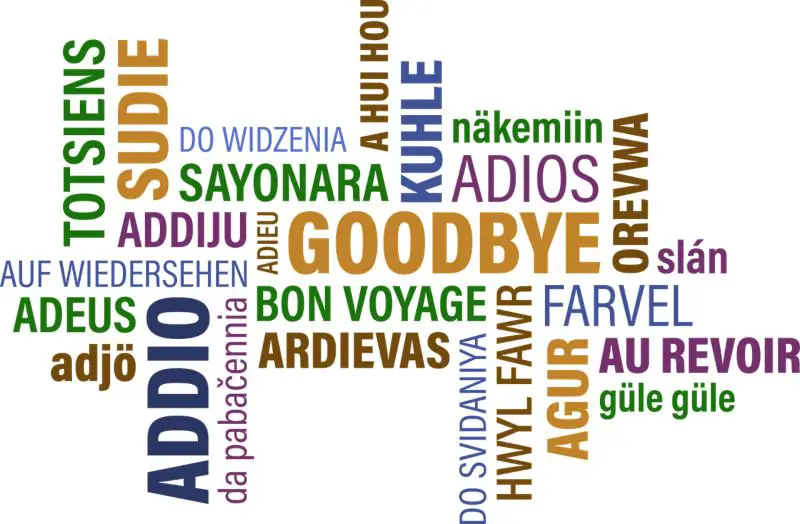 Goodbye Adobe