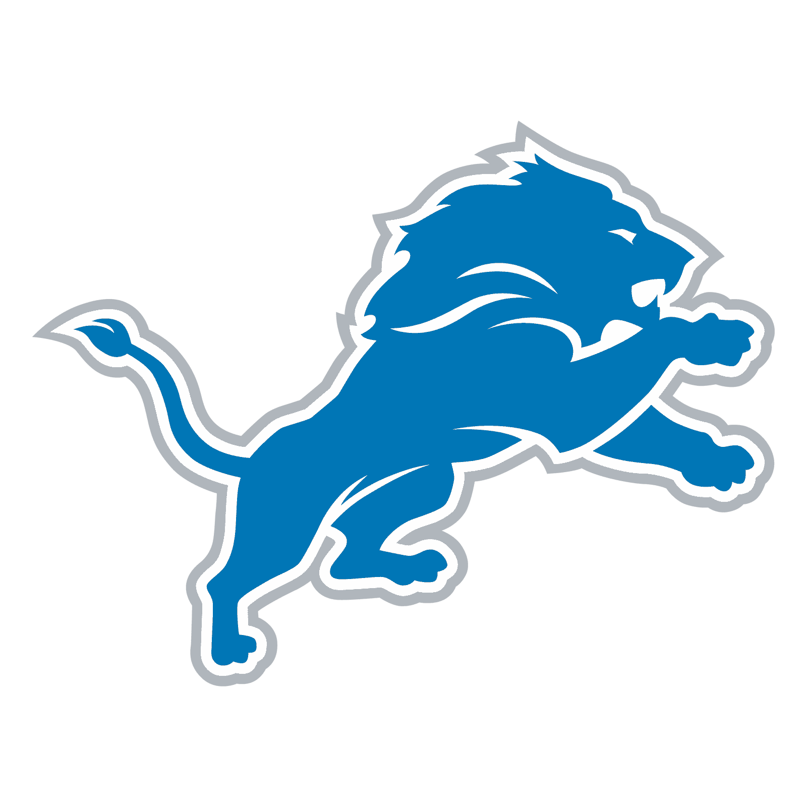 My Detroit Lions