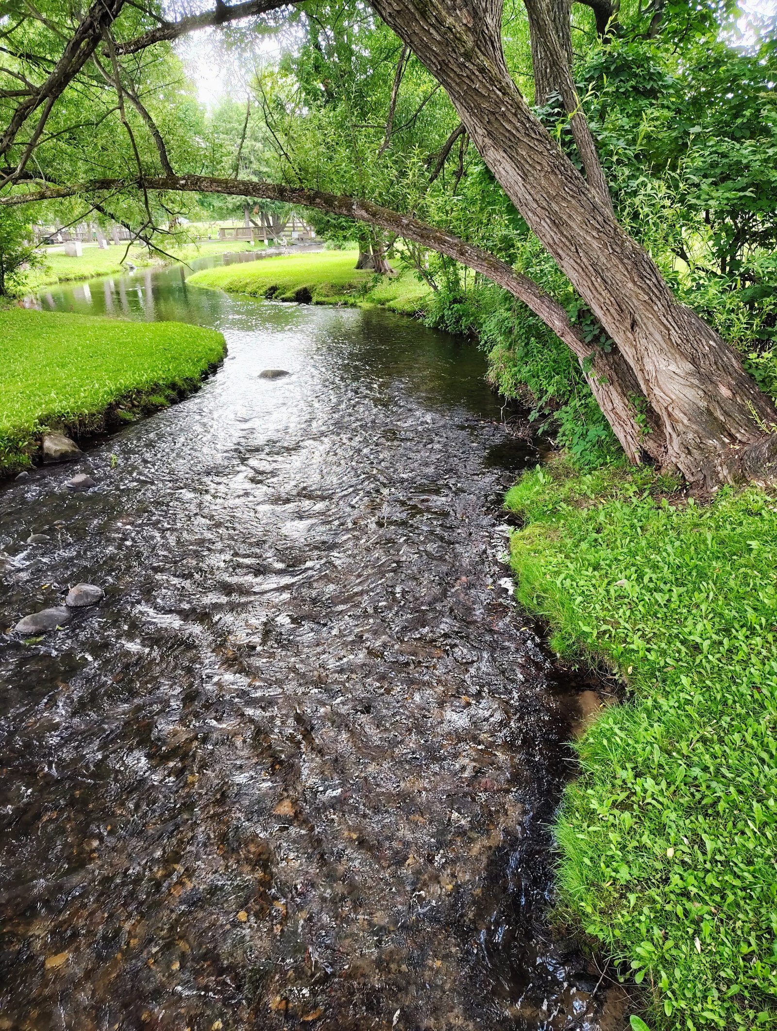 Irons Park – A river runs through