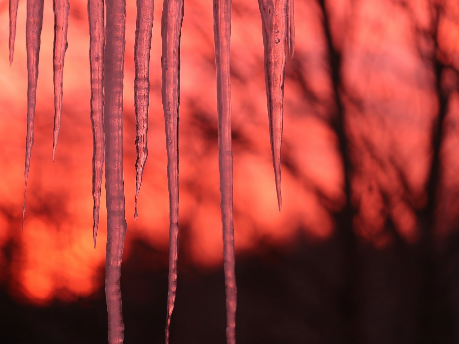 Fire and Ice